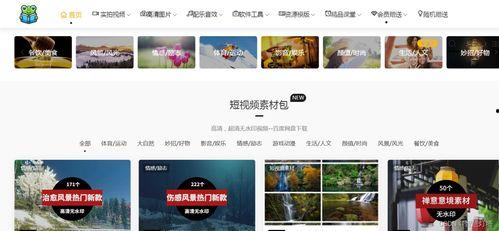 爆料风格视频素材库,独家视频素材库深度解析